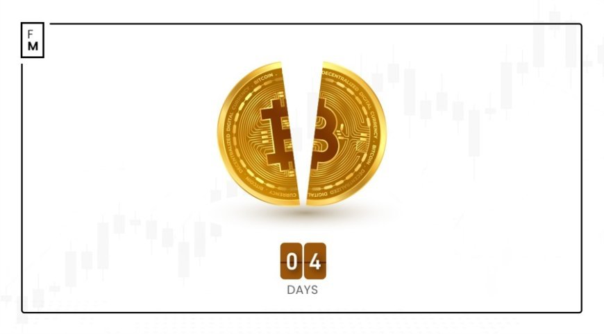 Bitcoin Halving Countdown: What Is Ahead?