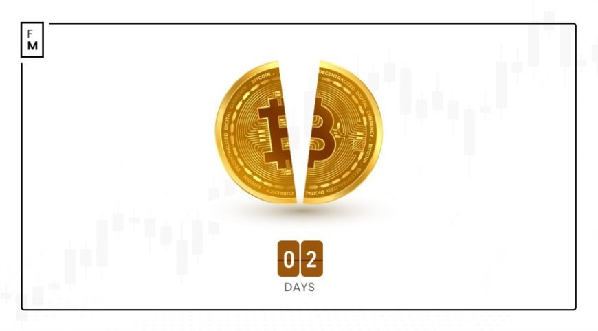 Bitcoin Halving Countdown: Why It May Not Guarantee Price Surge