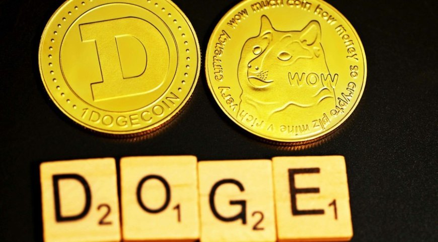 Why Dogecoin Price Is Surging: Breaking News and Price Analysis for November 2024