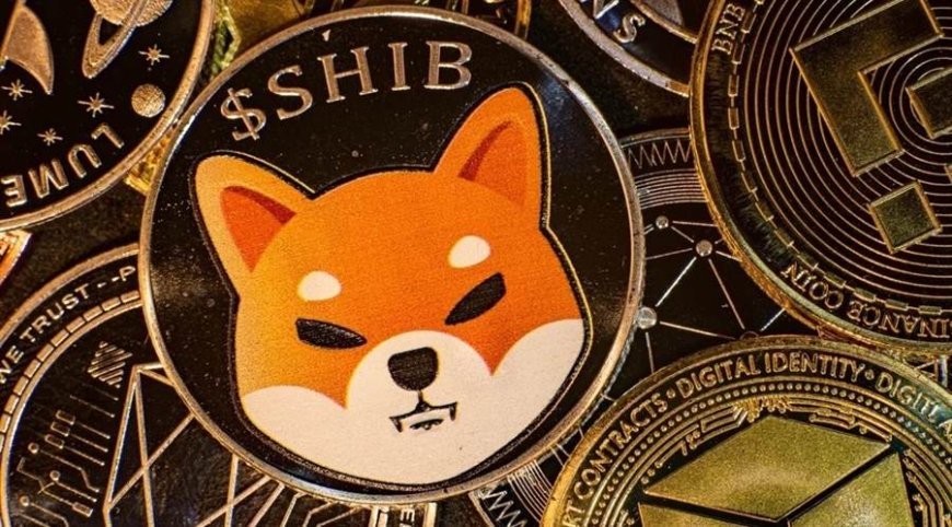 Shiba Inu Targets $0.00006: CoinMarketCap Ranks It 11th with $14 Billion Market Cap