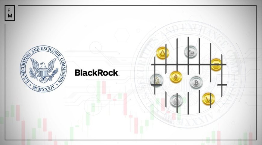 BlackRock Bitcoin Fund Suffers Record $333 Million as Price Declines